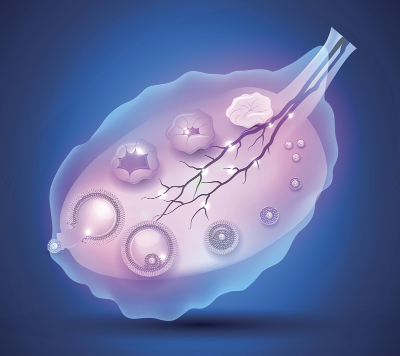 2026年兰州试管婴儿医生实力口碑榜：附7天胚胎培养技术与本地生殖中心选择指南